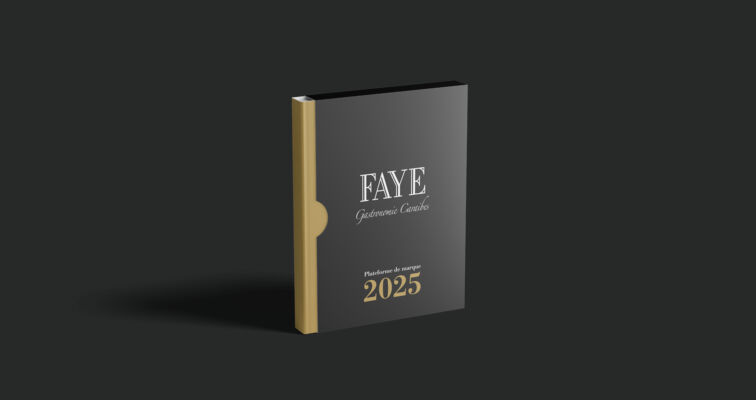 faye plateforme